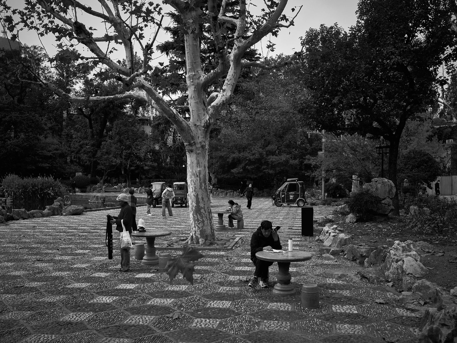 People gathering and resting beneath trees in a park.