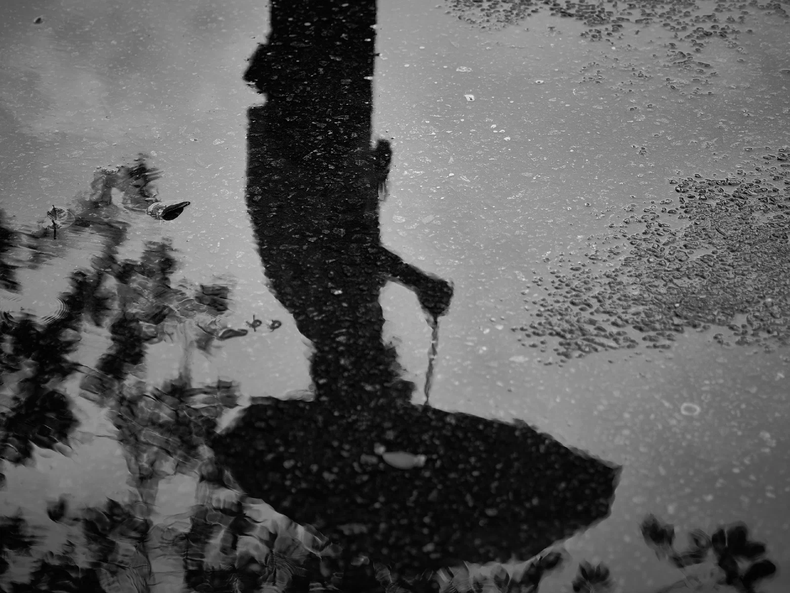 A pedestrian reflected in a puddle.