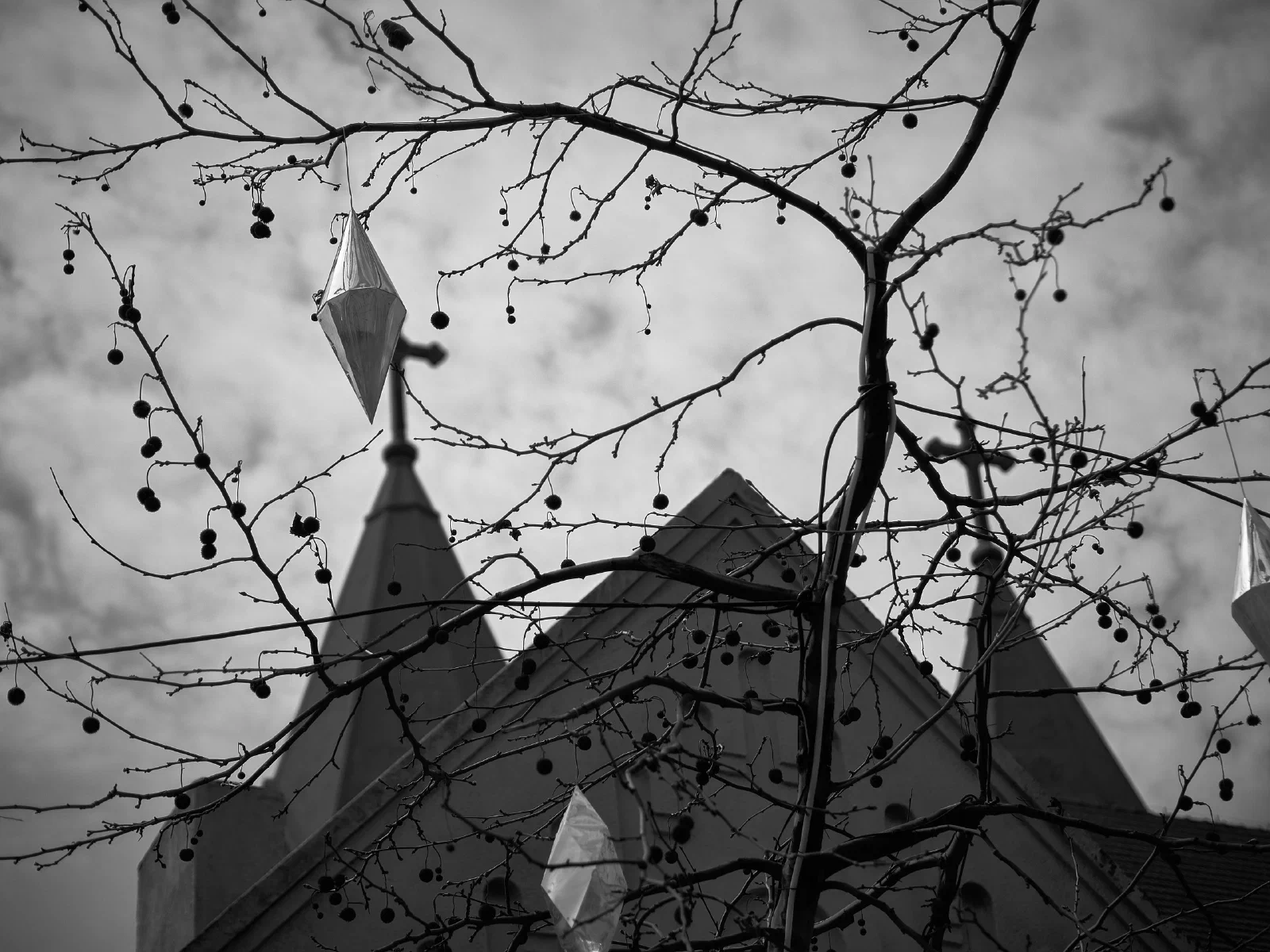 The outline of a building behind branches